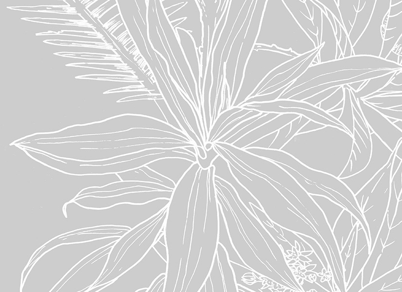 Papier peint Jungle Tropical Fond Gris Déco Lé Unique